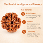 4 Mukhi Nepali Rudraksha