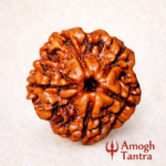 5 Mukhi Nepali Rudraksha