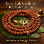 5 Mukhi Rudraksha Mala