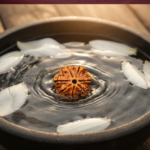 7 Mukhi Nepali Rudraksha