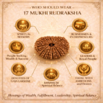 17 Mukhi Nepali Rudraksha