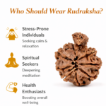 Savar Naag Rudraksha