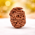 Savar Naag Rudraksha