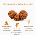 trijuti rudraksha