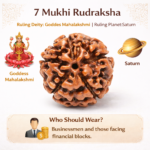 7 Mukhi Nepali Rudraksha