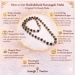 Rudraksha & Karungali Malai – Original 54 Beads Ebony Wood Mala with Silver Caps