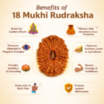 18 Mukhi Nepali Rudraksha