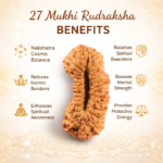 27 Mukhi Nepali Rudraksha
