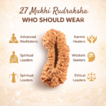 27 Mukhi Nepali Rudraksha
