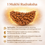 1 Mukhi Nepali Rudraksha