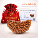 1 Mukhi Nepali Rudraksha
