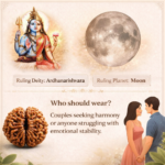 2 Mukhi Indonesian Rudraksha