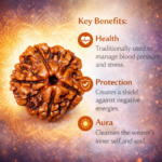 5 Mukhi Indonesian Rudraksha