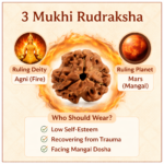 3 Mukhi Indonesian Rudraksha