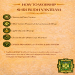 71jQHdO8AzL._SL1000_