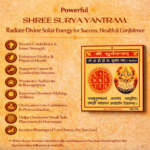 71L+Jx0bANL._SL1000_