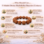 5 Mukhi Divine Rudraksha Bracelet