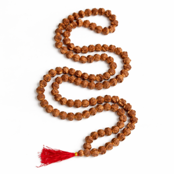 7 Mukhi Rudraksha Beads Mala