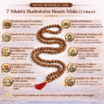7 Mukhi Rudraksha Beads Mala