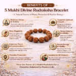 5 Mukhi Divine Rudraksha Bracelet