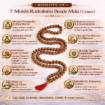 7 Mukhi Rudraksha Beads Mala