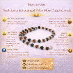 Karungali & Rudraksha Mala With Silver Capping