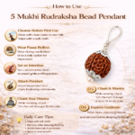 5 mukhi bead pendant (with certificate)