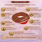 Indonesian 5 Mukhi Rudraksha Mala