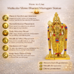Multicolor Shree Bharani Murugan Statue
