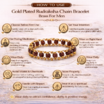 Gold Plated Rudraksha Chain Bracelet Brass