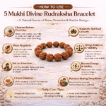 5 Mukhi Divine Rudraksha Bracelet