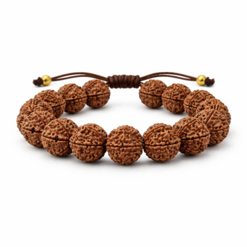 Nepali 6 Mukhi Rudraksha Bracelet