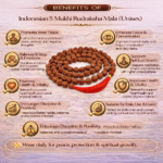 Indonesian 5 Mukhi Rudraksha Mala