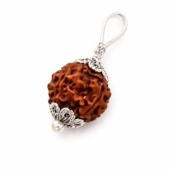 6 mukhi bead pendant (with certificate)