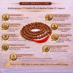 Indonesian 5 Mukhi Rudraksha Mala
