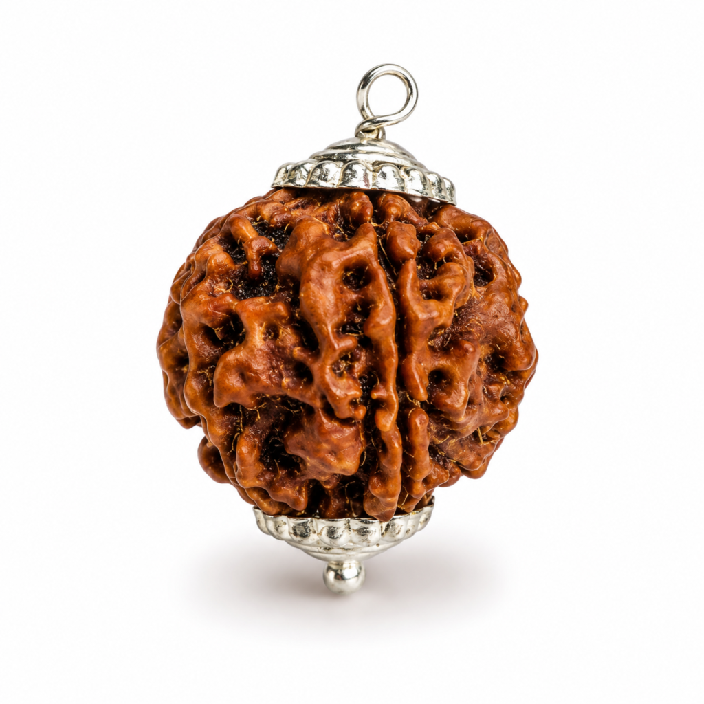 5 Mukhi Rudraksha Beads With Capping
