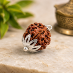 7 Mukhi Rudraksha Beads (With Certification)