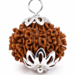 13 Mukhi Nepali Rudraksha