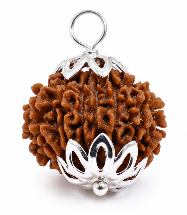 13 Mukhi Nepali Rudraksha
