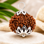 13 Mukhi Rudraksha Bead